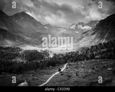 Purple Valley, Stelvio National Park, Bormio, Lombardy, Italy Stock Photo