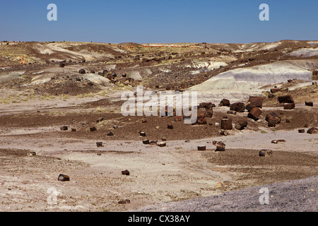 Petrified wood logs scattered on the ground at the Crystal Forest in Arizona's Petrified Wood National Park Stock Photo