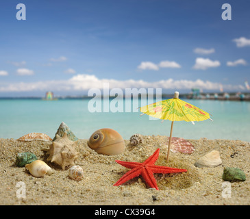 Summer scene #7 - Starfish under paper umbrella shadow Stock Photo