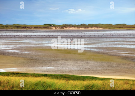 Koenig harbor, elbows, Wadden Sea, mudflats, Sylt, Schleswig-Holstein, Germany Stock Photo