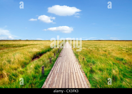 boardwalk, mudflats, Kampen, Sylt, Schleswig-Holstein, Germany Stock Photo