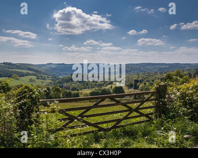 WYE VALLEY In EARLY SUMMER FROM HEWELSFIELD COMMON LOOKING OVER FIVE BARRED GATE. Stock Photo