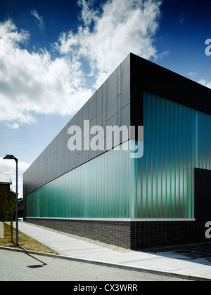 Sandford Park School, Ranelagh, Ireland. Architect: DTA Architects, 2007. View of multipurpose hall showing fibrecement cladding Stock Photo