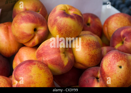 Freshly picked yellow peaches available at the Monterey Farmer's Market. Stock Photo