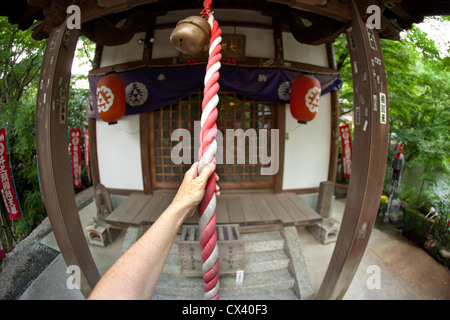 Arm reaching out to pull rope and ring bell at a Buddhist shrine in Tokyo, Japan. Stock Photo