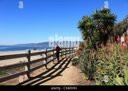 Palisades Park, Santa Monica, Los Angeles, California, USA Stock Photo