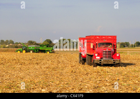 Harvesting corn with a John Deere combine and tractor hauling grain wagon and offloading the grain to a Diamond T antique truck Stock Photo