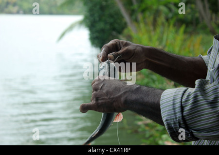 A fisher man catching a fresh fish from the ashtamudi lake Stock Photo