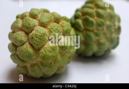 Fruit of annona squamosa, sugar pineapple sweetsop Custard apple Stock Photo