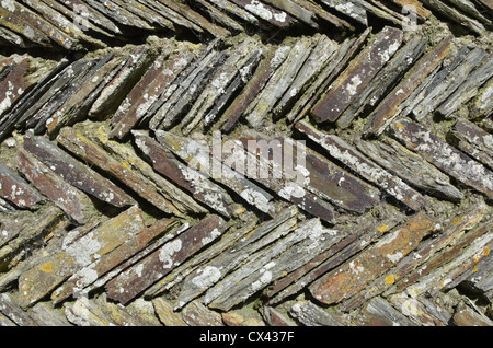 Section of herringbone / zigzag retaining garden wall. Cornwall. Metaphor rigid structure, rigidity, rigid outlook, rigid thinking. Stock Photo