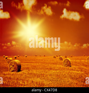 Image of beautiful orange sunset on dry wheat field, many golden rye rolls on farmland, countryside landscape Stock Photo