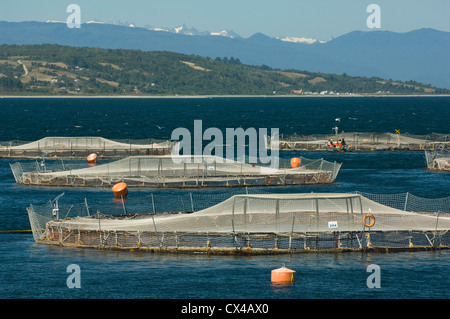 Aquaculture : salmon farm, Marine Harvest company, near Puerto Montt Chile Stock Photo