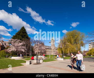 Otago University Campus, with the historic Clock Tower Registry building and spring blossom. Stock Photo