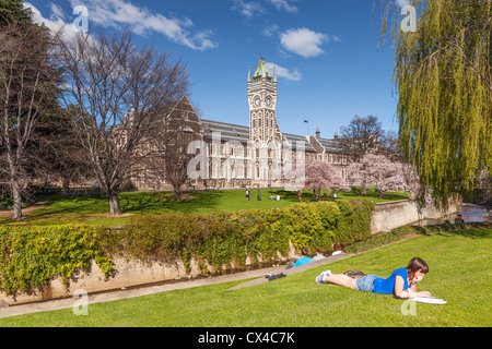 Otago University Campus, with the historic Clock Tower Registry building and spring blossom. Female student lying on grass. Stock Photo