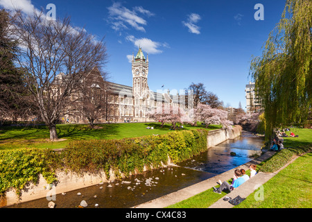 Otago University Campus, with the historic Clock Tower Registry building and spring blossom. Stock Photo