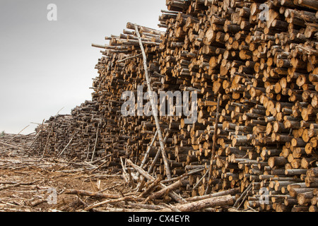 Boreal forest trees clear felled to make way for a new tar sands mine north of Fort McMurray, Alberta, Canada. Stock Photo