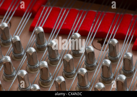 Grand piano tuning pegs Stock Photo