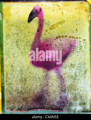 Pink Flamingo. polaroid negative. ©mak Stock Photo