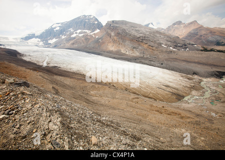 Lateral moraine showing the rate of retreat of the Athabasca glacier. It is receding extremely rapidly and has lost over 60% Stock Photo