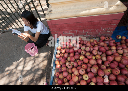 Street vendor selling apples, Maha Bandoola Park Street, Yangon (Rangoon), Myanmar (Burma) Stock Photo