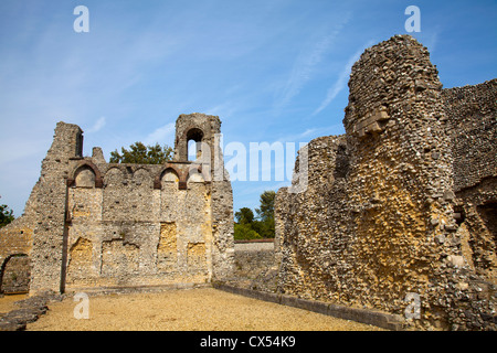 Wolvesley Castle in Winchester - Hampshire UK Stock Photo