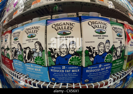 Containers of milk in a supermarket refrigerator in New York Stock Photo -  Alamy