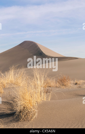 Sand dune formations. Bruneau Dunes State Park, ID. Stock Photo