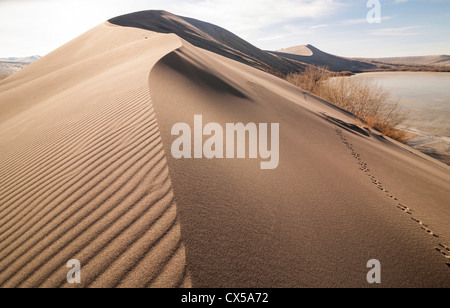 Sand dune formations. Bruneau Dunes State Park, ID. Stock Photo