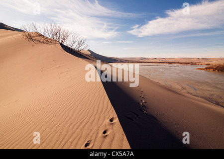 Sand dune formations. Bruneau Dunes State Park, ID. Stock Photo