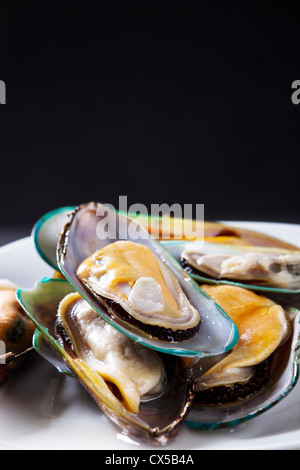 raw mussel on plate Stock Photo