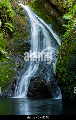 Papua Wigmore's Waterfall, Rarotonga, Cook Islands Stock Photo