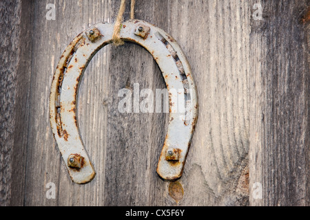Old horseshoe on a rustic wooden textured background Stock Photo