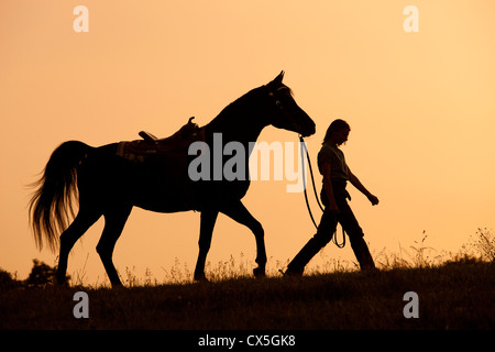 Woman riding horse against sky Stock Photo - Alamy