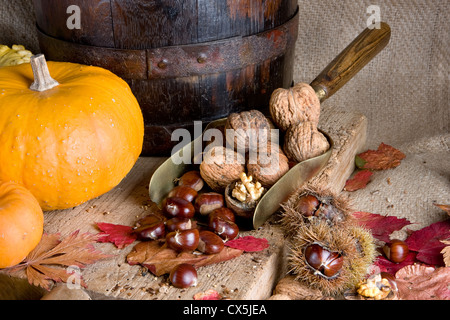 Large pumpkin, chestnuts and nuts on an antique wooden board Stock Photo