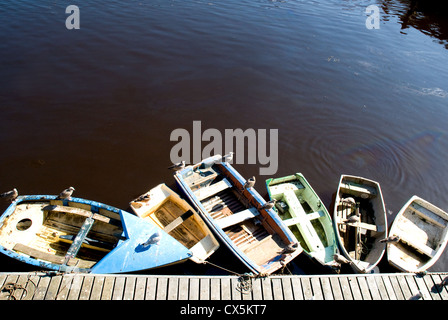 Overhead view of small rowing boats in a harbour with seagulls sitting around and on them.  Boats are different pastel colours. Stock Photo