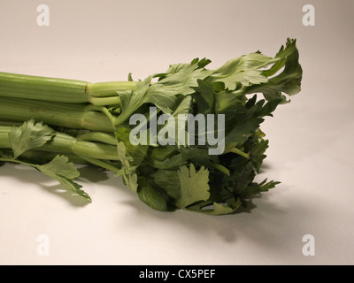 Celery leaves outlet in malayalam