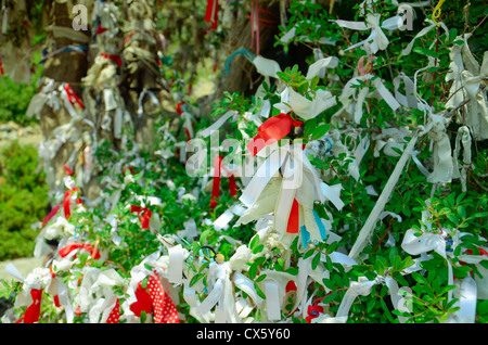 Close-up of ribbons on branches of wish tree Stock Photo