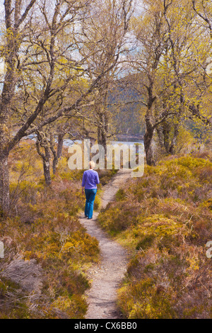 Walking in Glen Affric, spring, Inverness, Highland Region, Scotland Stock Photo