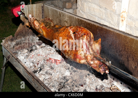 Whole lamb roasting on open spit Stock Photo