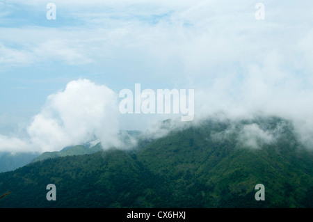 Fog and mist covered hills, South India Stock Photo