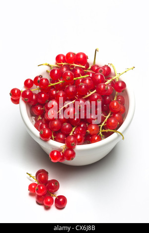 Redcurrants in a white Bowl on plain background Stock Photo