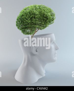 Think green concept. Tree of green idea shoot grow on human head symbol ...
