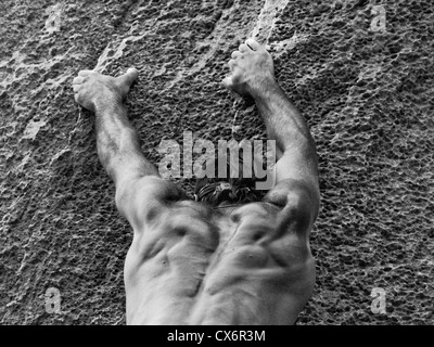 Muscular alpinist climbing the course Stock Photo