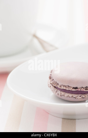 French macaroon cookie at traditional dining
