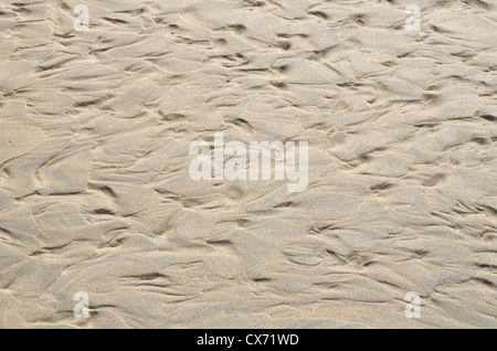 Rippled sand / fluvial ridges on beach / shoreline after tide has just retreated. Perranporth beach, Cornwall. Mars-like flow patterns concept. Stock Photo