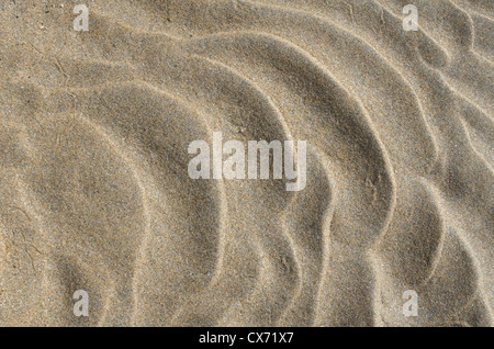 Rippled sand / fluvial ridges on beach / shoreline after tide has just retreated. Perranporth beach, Cornwall. Mars-like flow patterns concept. Stock Photo