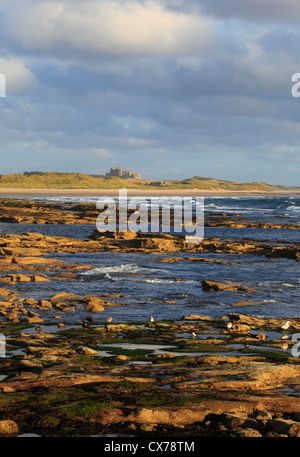 Bamburgh Castle on the Northumberland coast seen from Seahouses on a Summer morning. Stock Photo