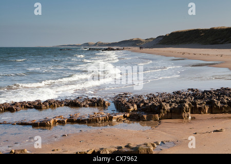 Two people walk along a perfect beach at Scremeston on the Northumberland coast of England Stock Photo