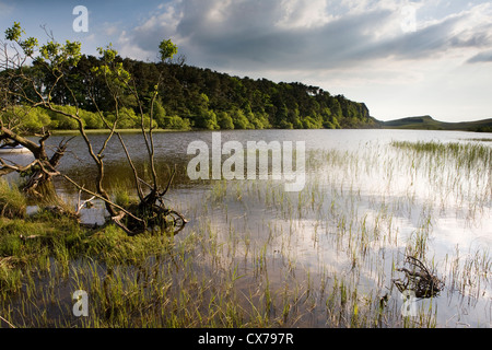 Crag Lough sits on the Hadrian's Wall Path in Northumberland National Park, England Stock Photo