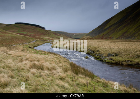 The River Coquet and Cheviot Hills in Upper Coquetdale in Northumberland National Park, England Stock Photo